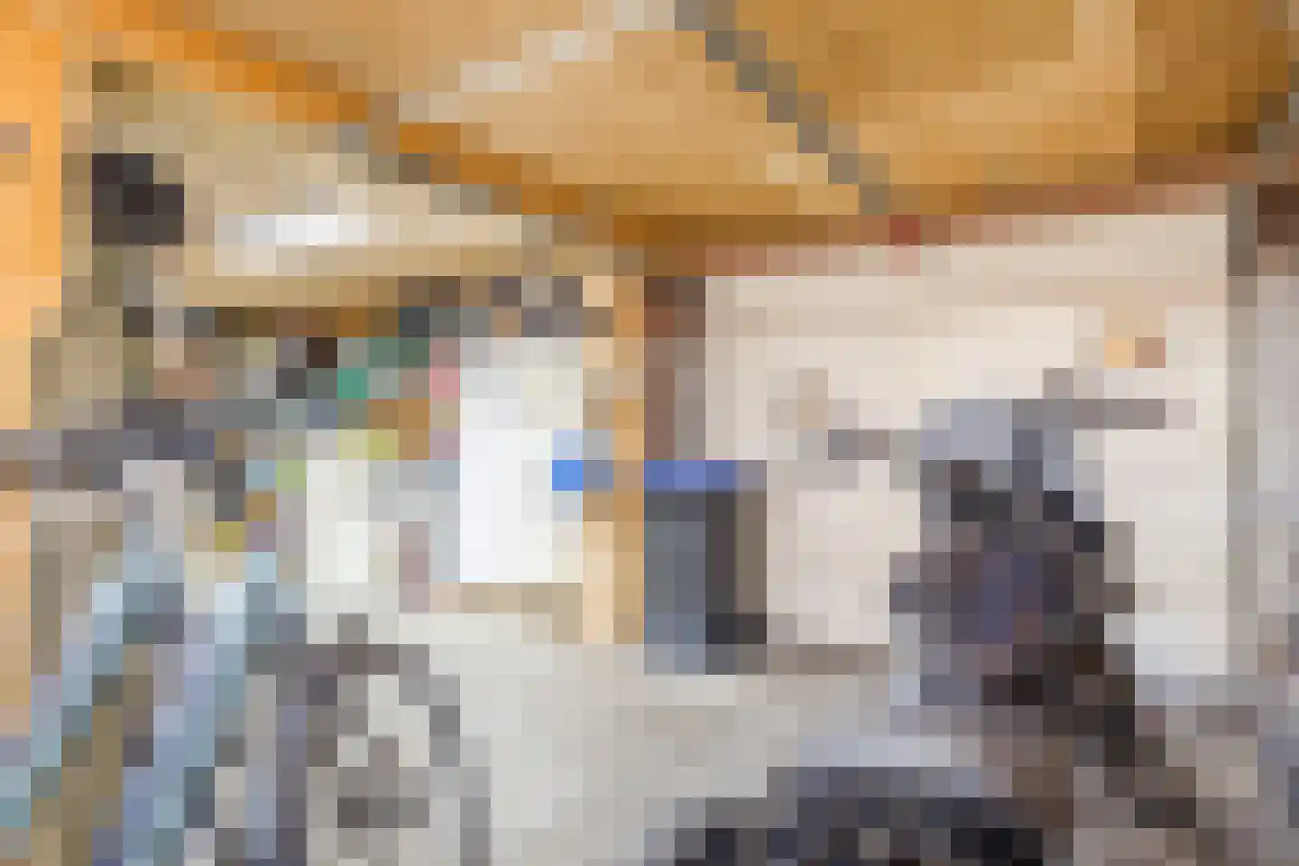 Bereklauw 114 Cuijk thumbnail 27