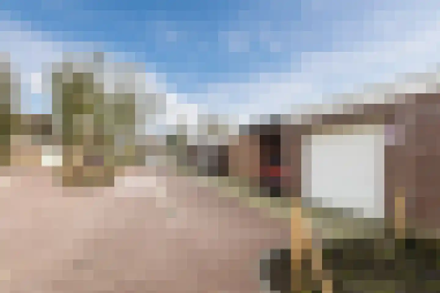 Bereklauw 114 Cuijk thumbnail 28