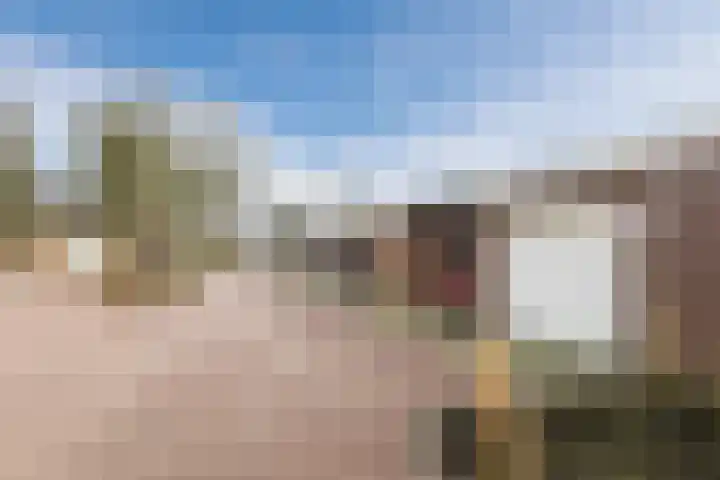 Bereklauw 114 Cuijk thumbnail 28