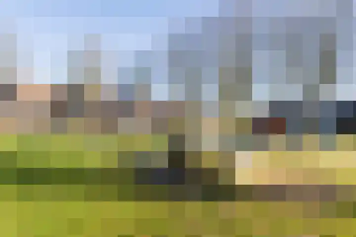 Bereklauw 114 Cuijk thumbnail 30