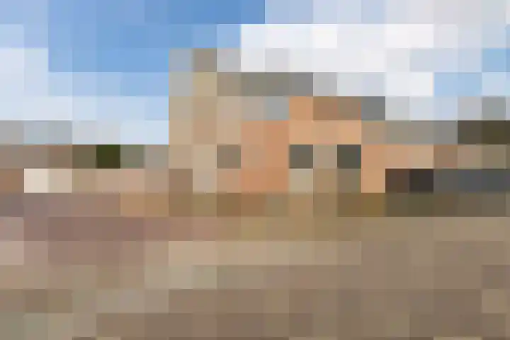 Bereklauw 114 Cuijk thumbnail 4