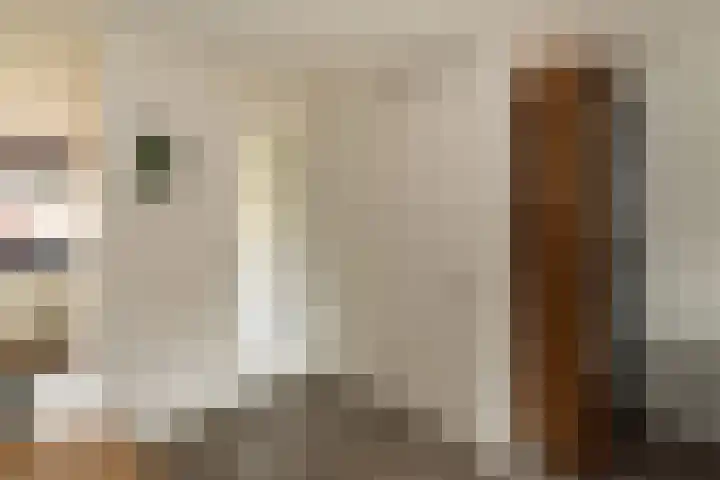 Bereklauw 16 Rijssen thumbnail 10