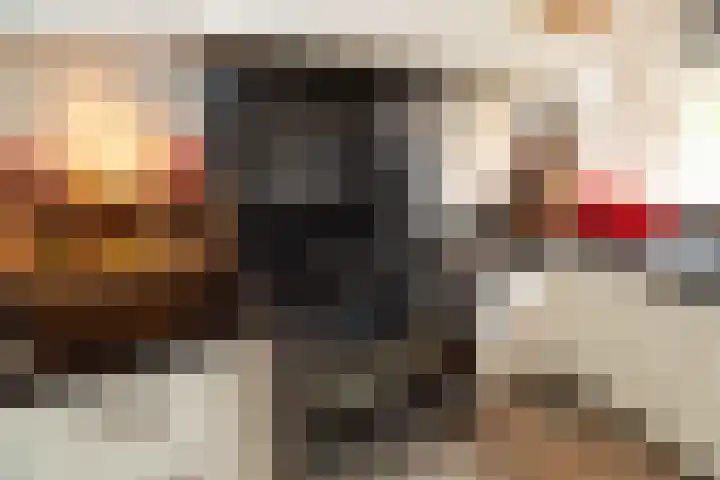 Bereklauw 16 Rijssen thumbnail 12