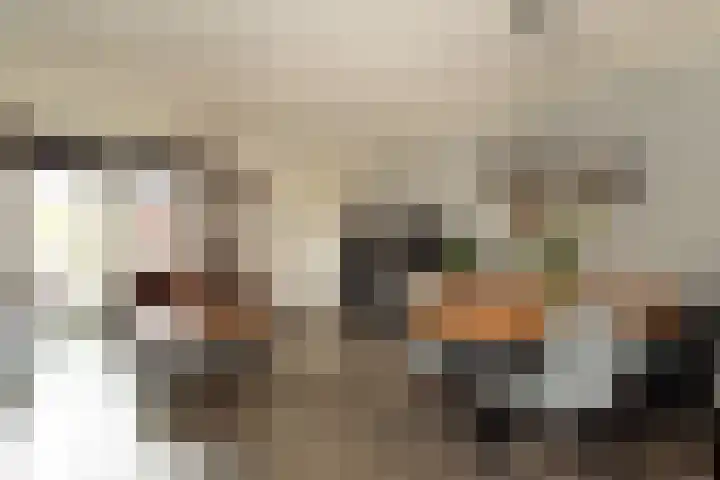 Bereklauw 16 Rijssen thumbnail 15