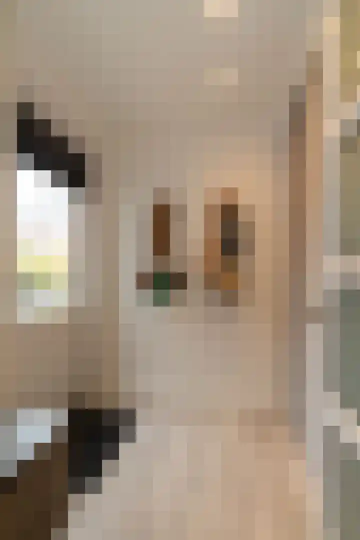 Bereklauw 16 Rijssen thumbnail 16