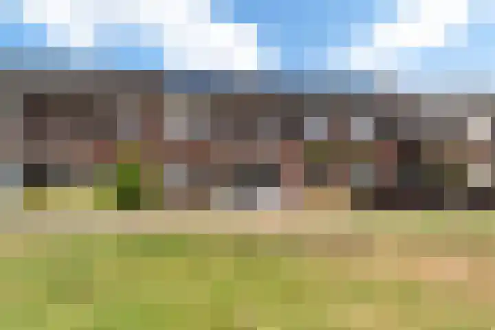 Bereklauw 16 Rijssen foto 2