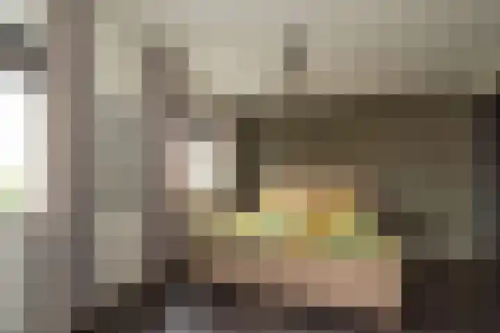Bereklauw 16 Rijssen thumbnail 21