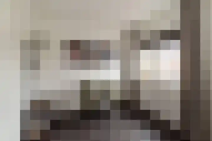 Bereklauw 16 Rijssen thumbnail 23