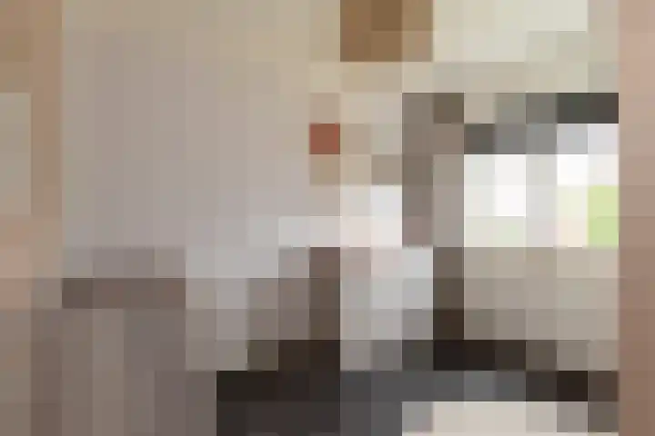 Bereklauw 16 Rijssen thumbnail 24