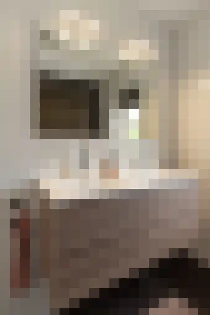 Bereklauw 16 Rijssen thumbnail 28