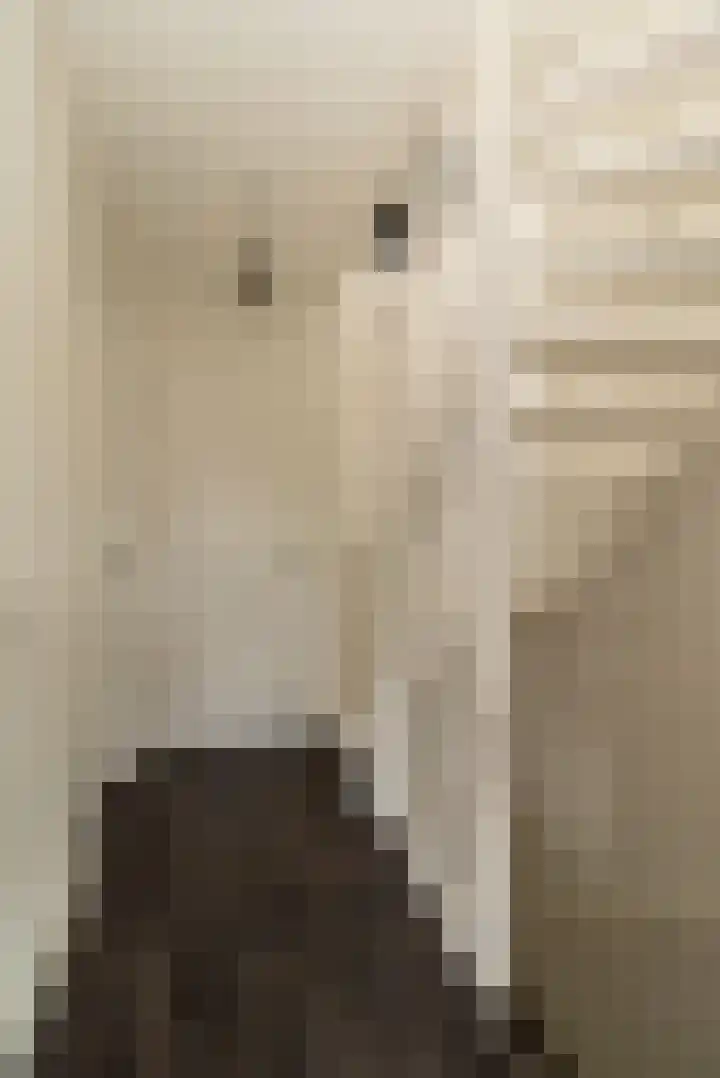 Bereklauw 16 Rijssen thumbnail 30