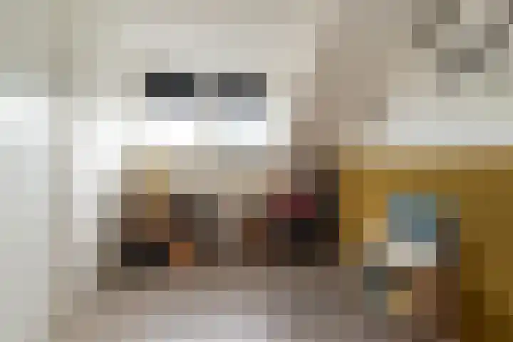 Bereklauw 16 Rijssen thumbnail 31