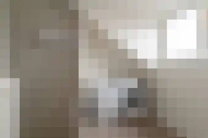 Bereklauw 16 Rijssen thumbnail 34