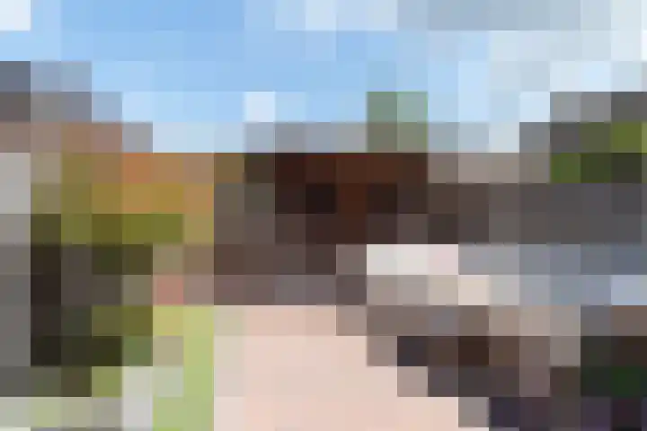 Bereklauw 16 Rijssen thumbnail 36