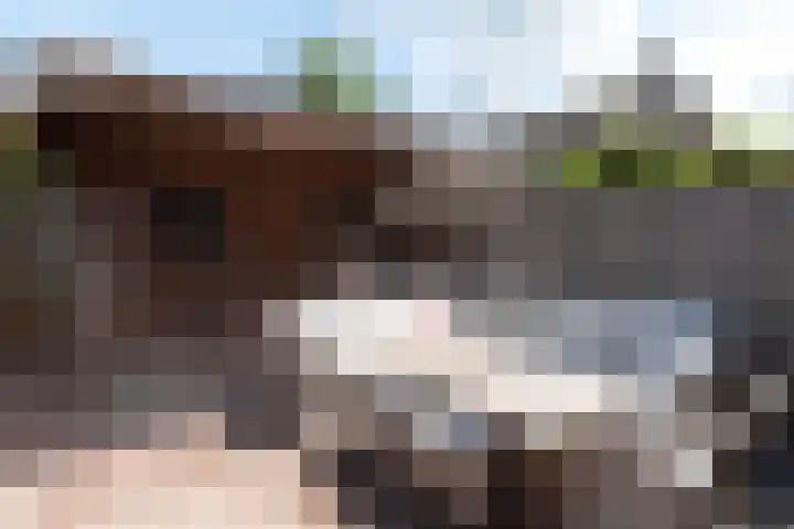 Bereklauw 16 Rijssen thumbnail 37