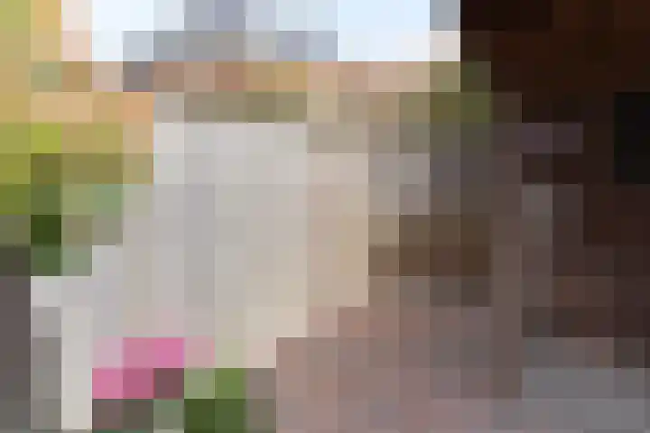Bereklauw 16 Rijssen thumbnail 38