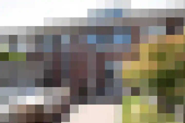 Bereklauw 16 Rijssen thumbnail 39