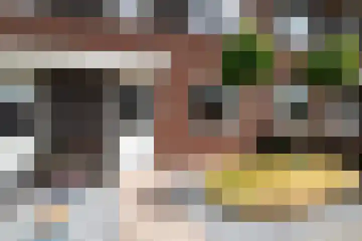 Bereklauw 16 Rijssen thumbnail 4