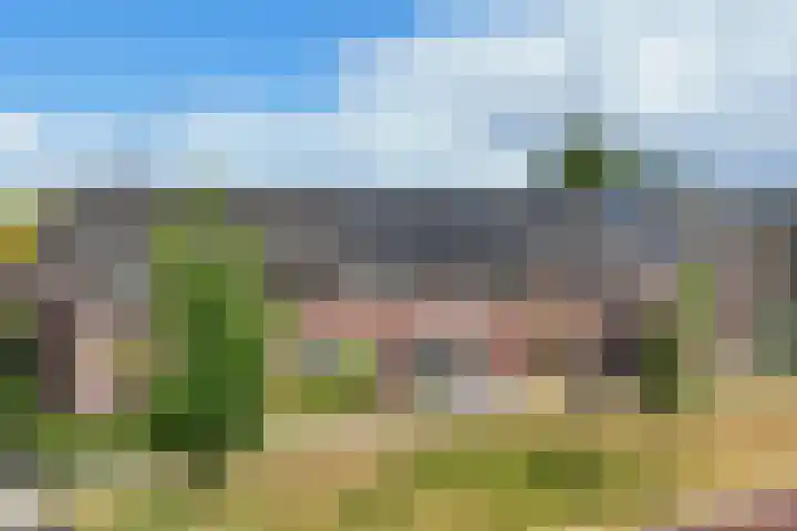 Bereklauw 16 Rijssen thumbnail 42