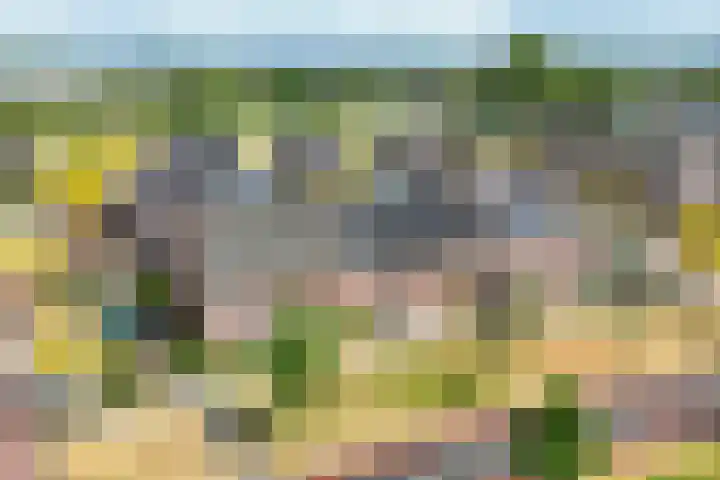 Bereklauw 16 Rijssen thumbnail 44