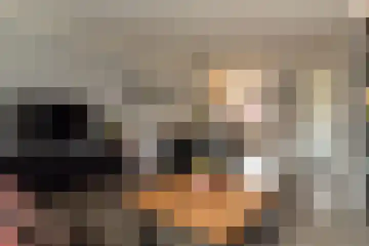 Bereklauw 16 Rijssen thumbnail 8