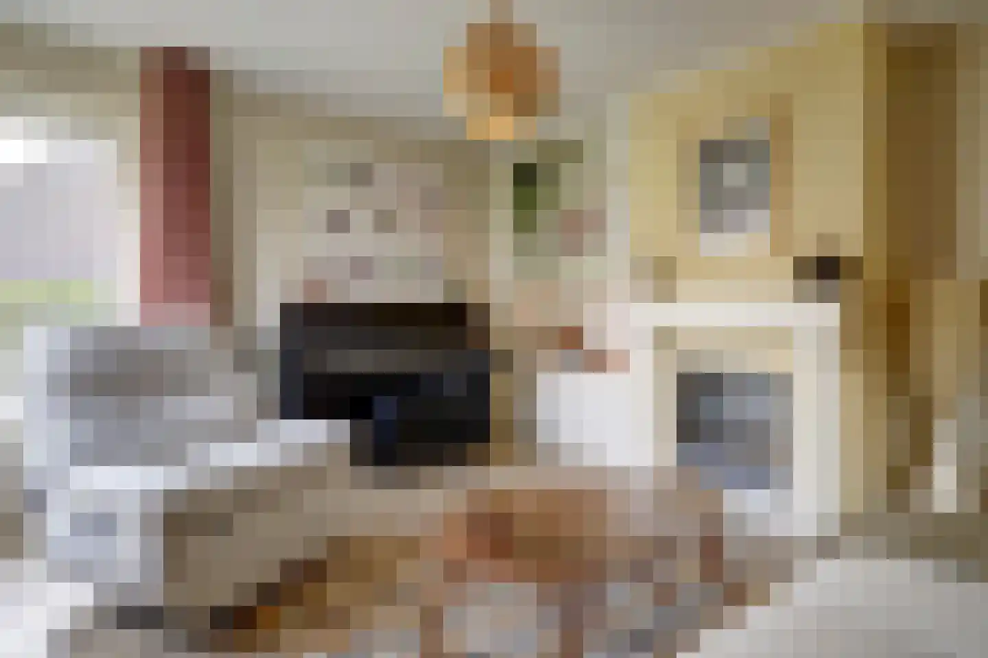 Bereklauw 17 Herkenbosch thumbnail 10
