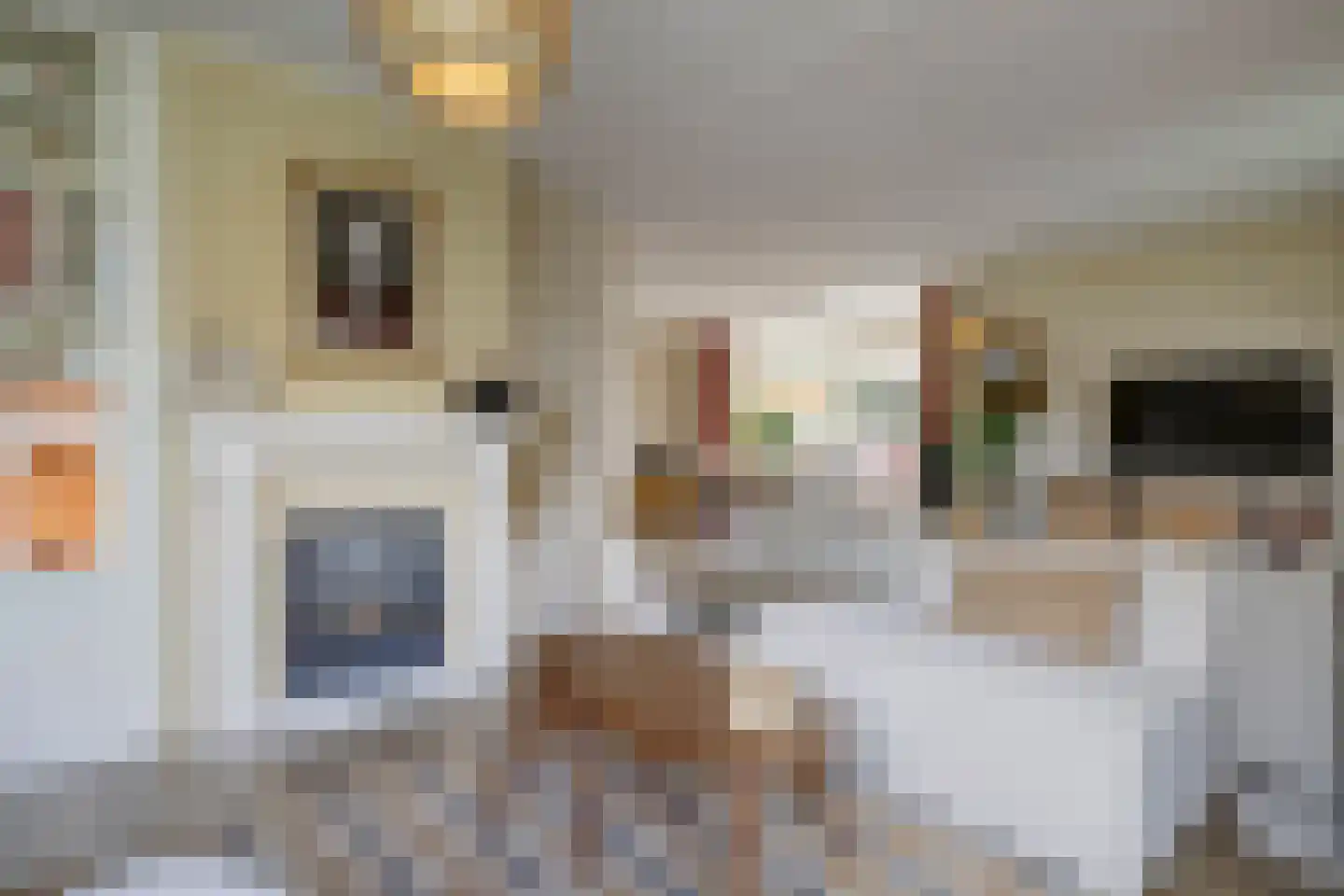 Bereklauw 17 Herkenbosch thumbnail 11