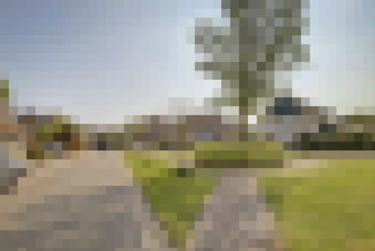 Bereklauw 17 Herkenbosch thumbnail 12