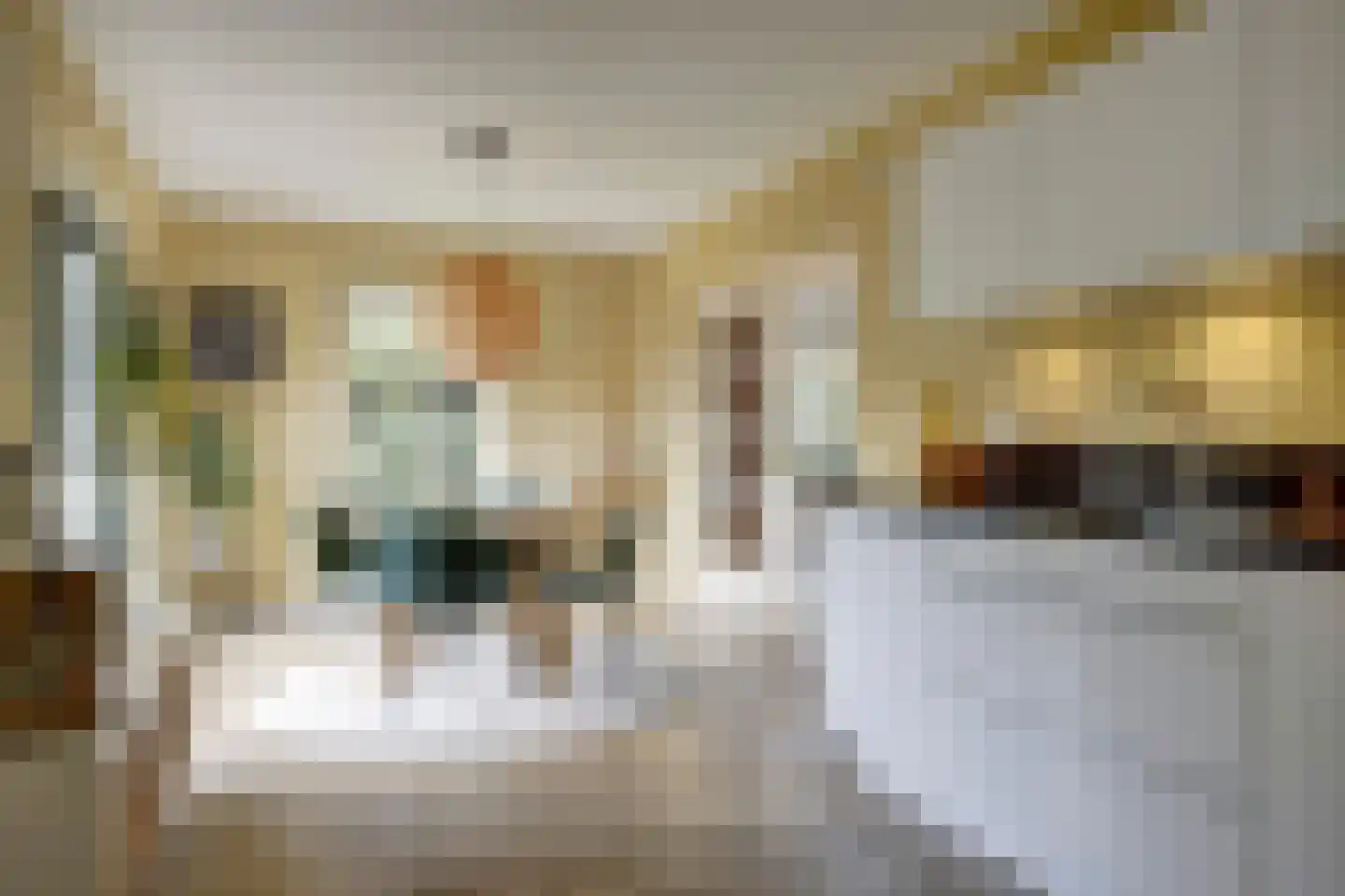Bereklauw 17 Herkenbosch thumbnail 23