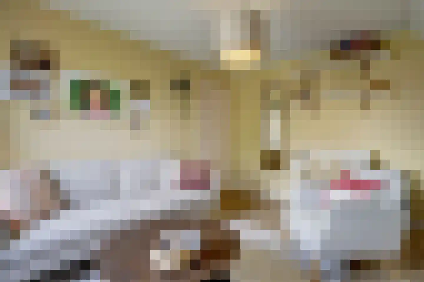 Bereklauw 17 Herkenbosch thumbnail 32