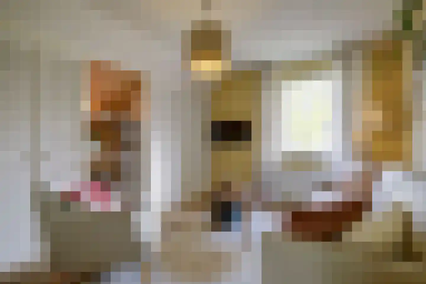 Bereklauw 17 Herkenbosch thumbnail 33