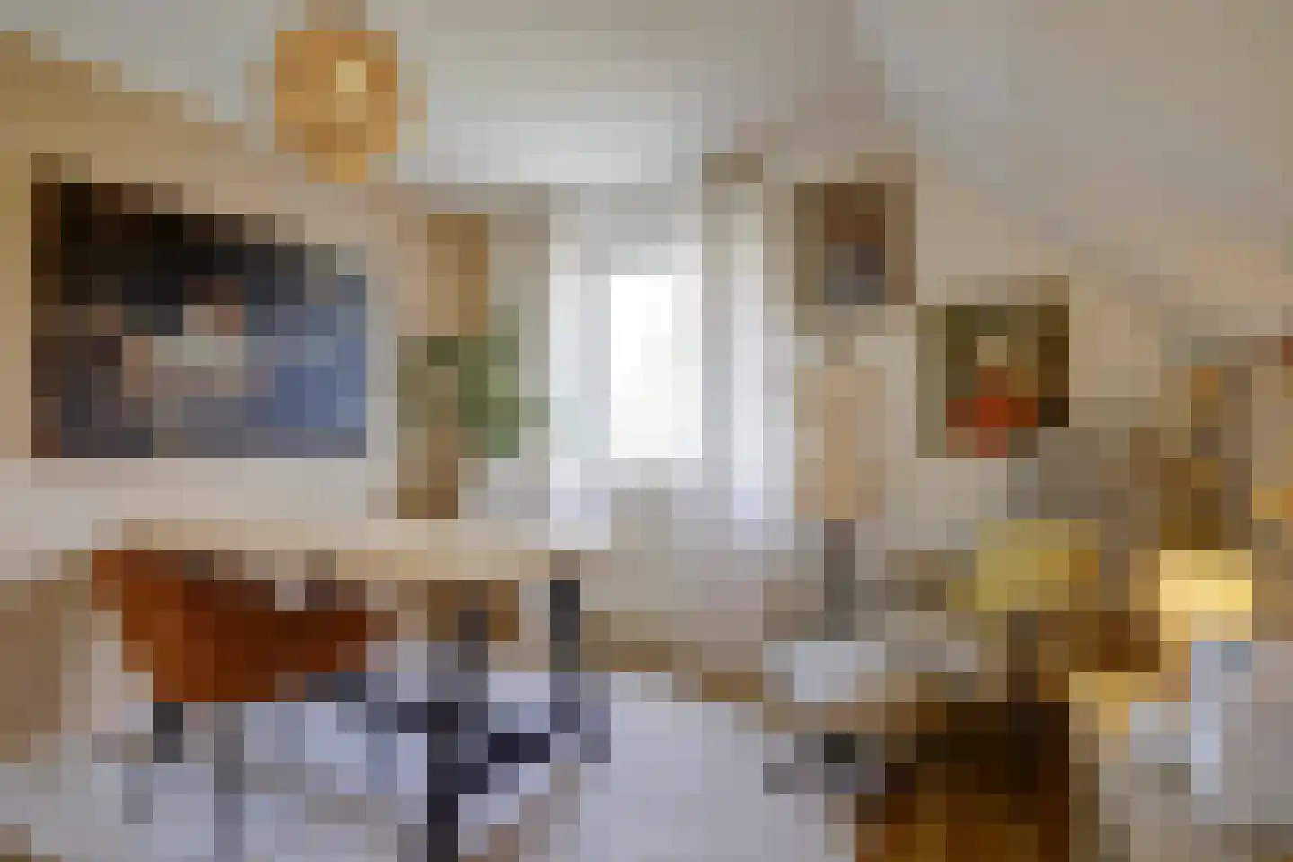 Bereklauw 17 Herkenbosch thumbnail 35