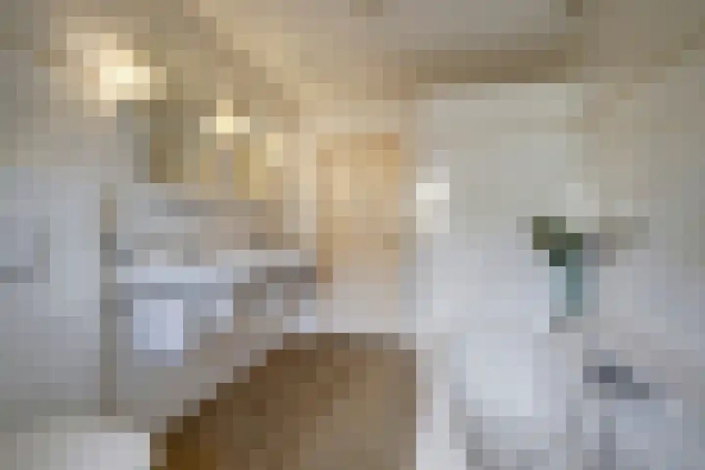 Bereklauw 17 Herkenbosch thumbnail 38
