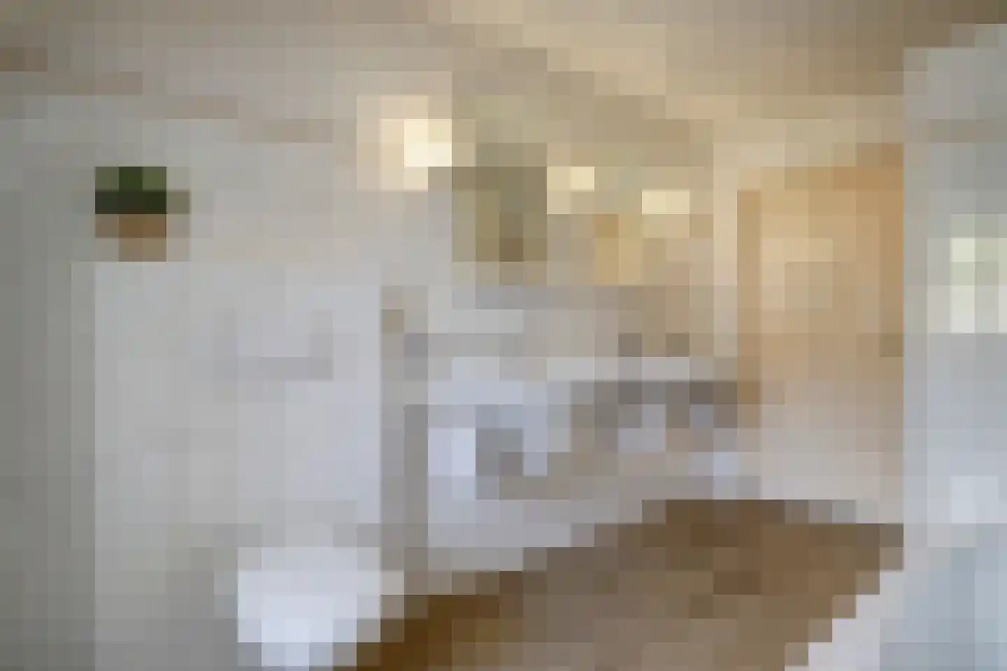 Bereklauw 17 Herkenbosch thumbnail 39
