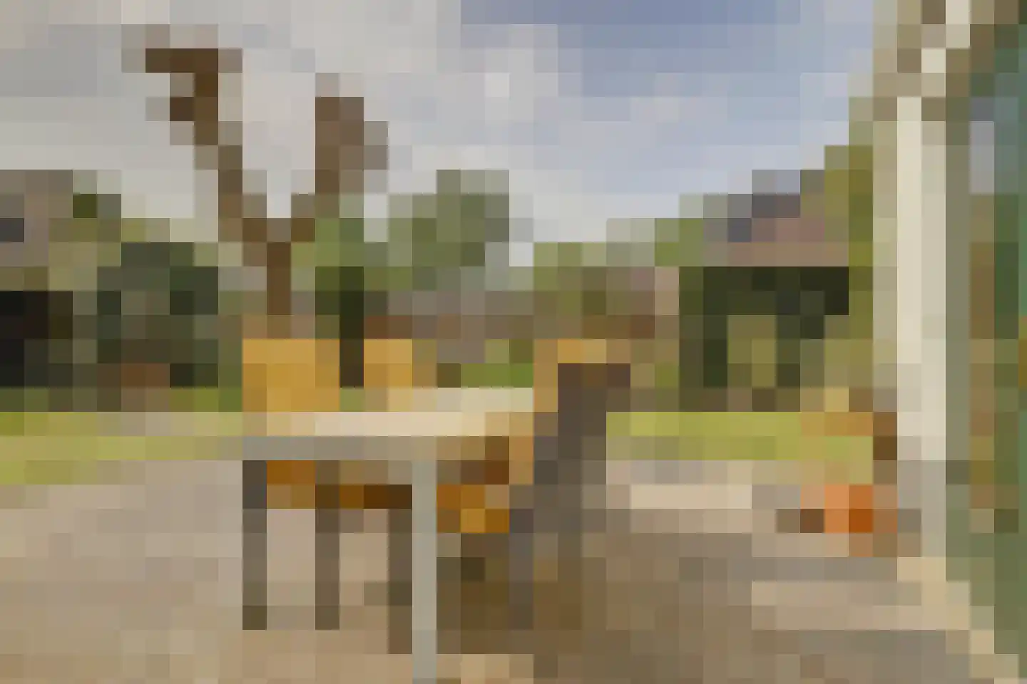 Bereklauw 17 Herkenbosch thumbnail 47