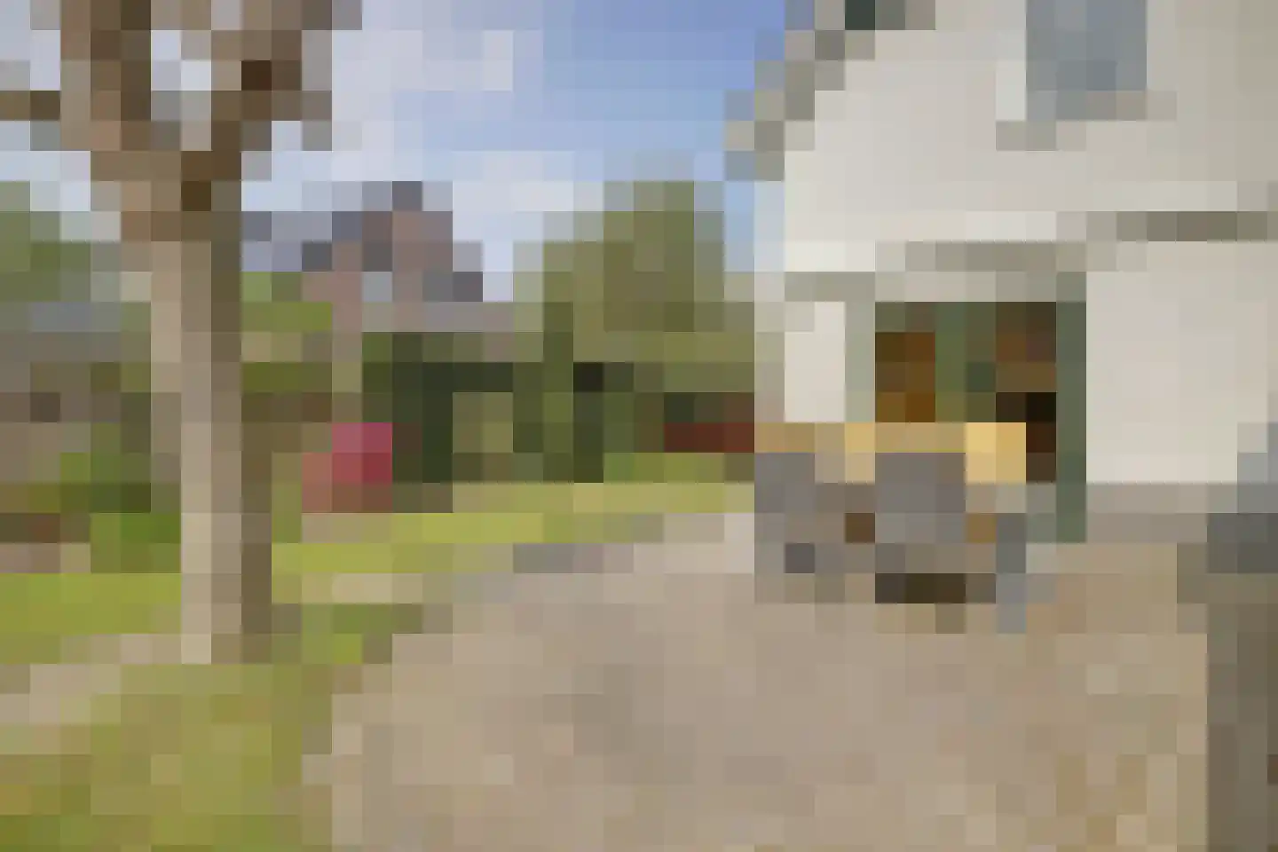 Bereklauw 17 Herkenbosch thumbnail 48
