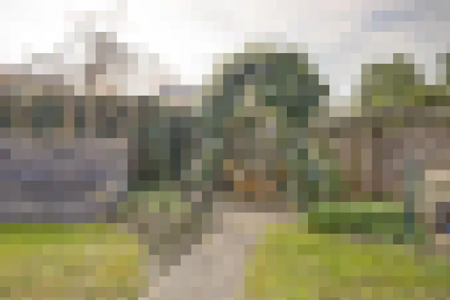 Bereklauw 17 Herkenbosch thumbnail 50