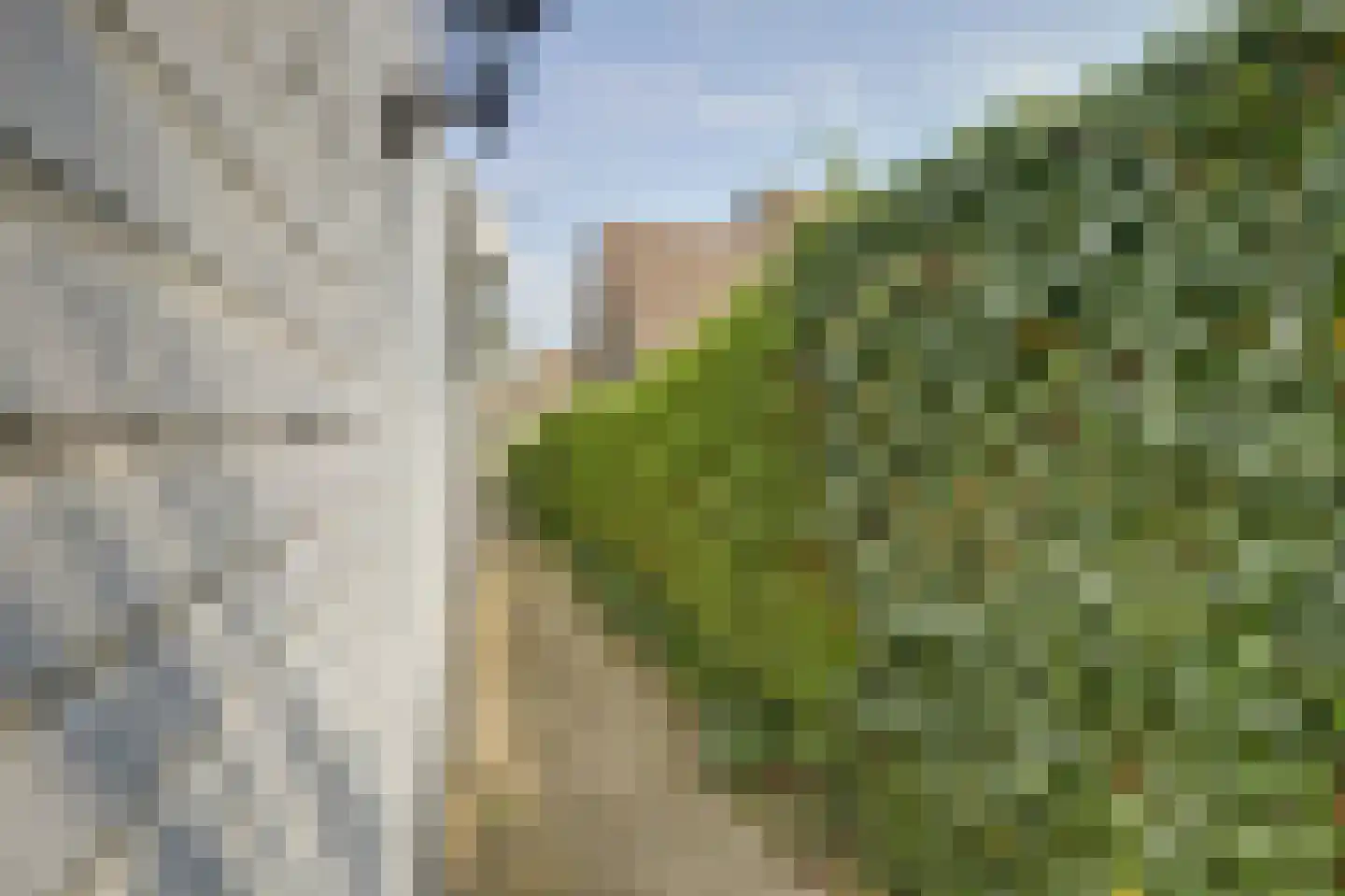 Bereklauw 17 Herkenbosch thumbnail 53