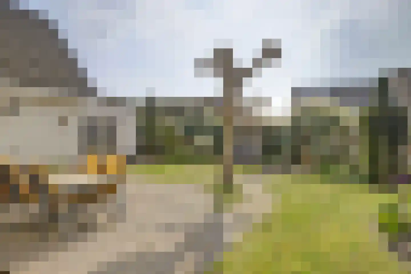 Bereklauw 17 Herkenbosch thumbnail 55