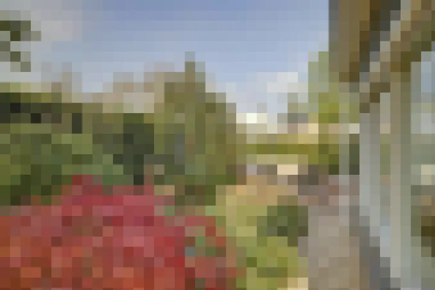 Bereklauw 17 Herkenbosch thumbnail 56