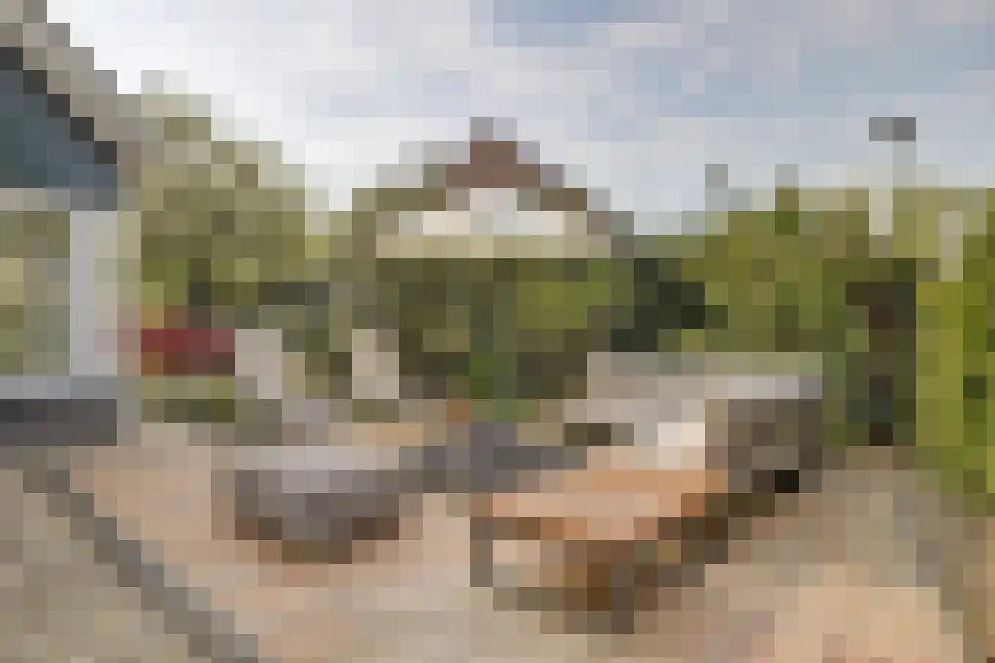 Bereklauw 17 Herkenbosch thumbnail 58