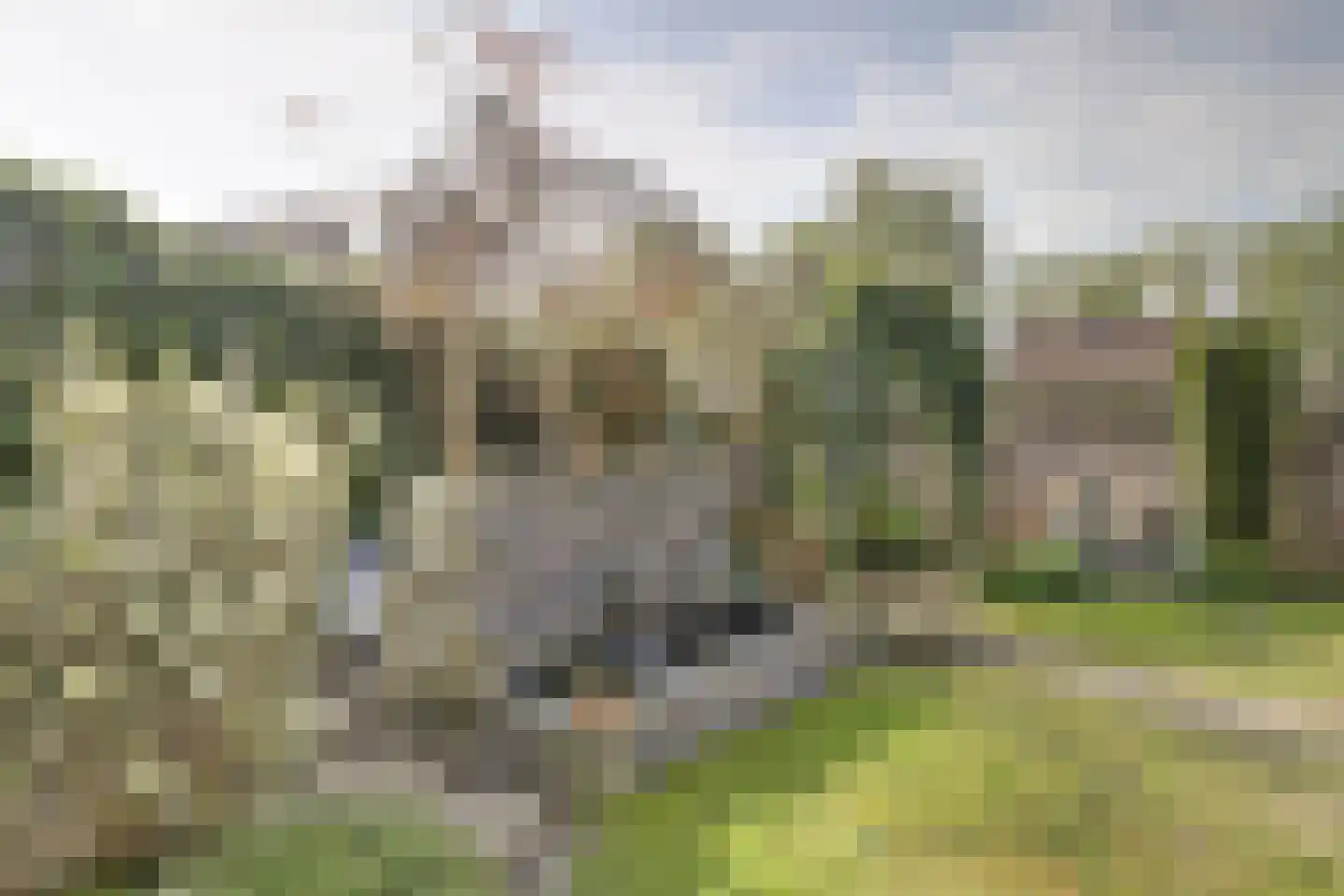 Bereklauw 17 Herkenbosch thumbnail 59