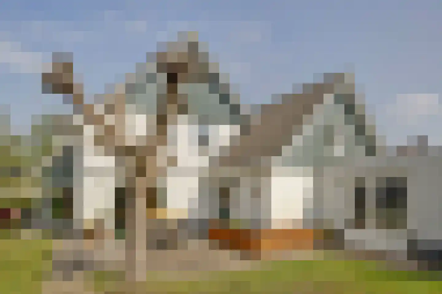 Bereklauw 17 Herkenbosch thumbnail 60