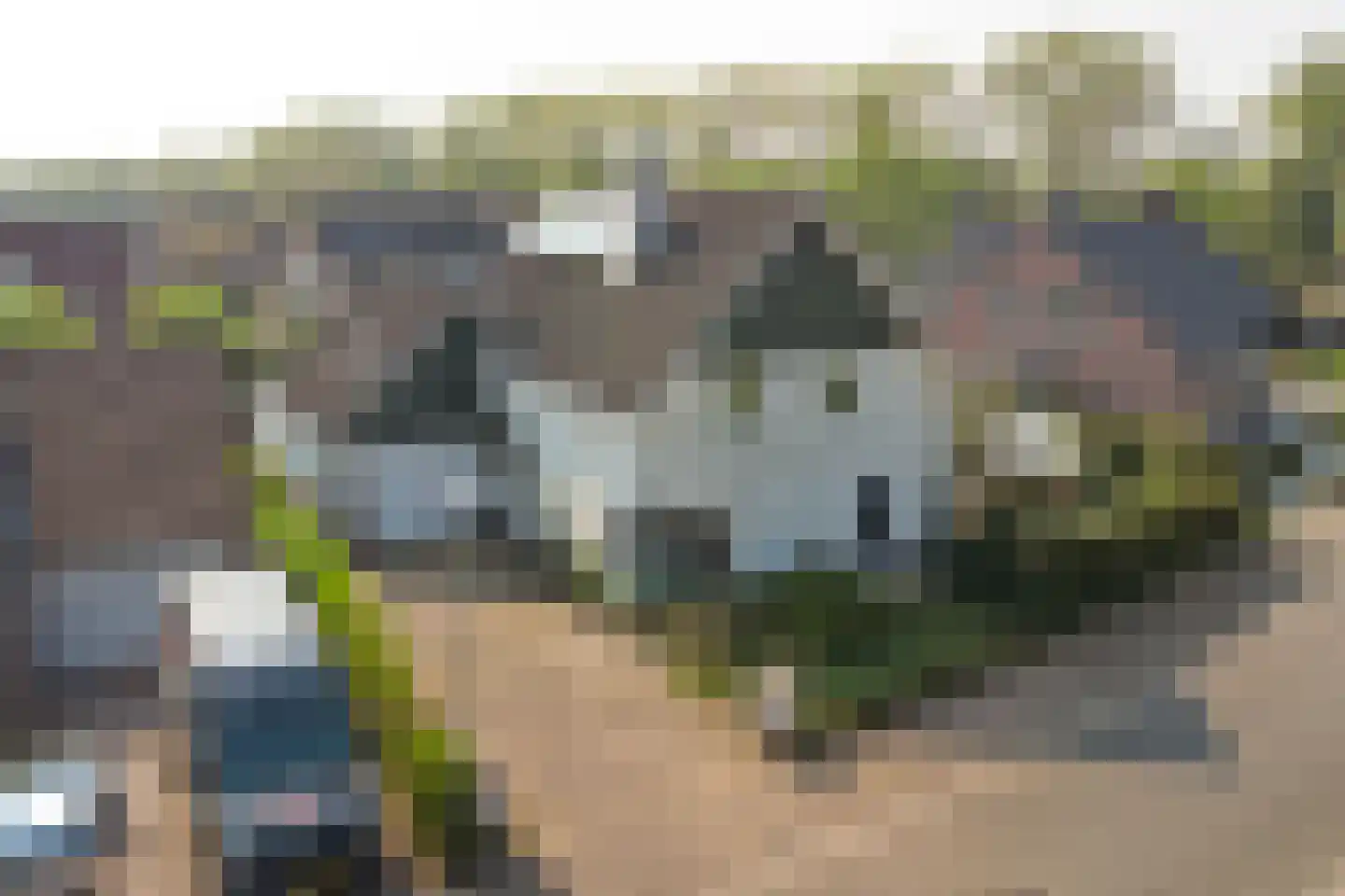 Bereklauw 17 Herkenbosch thumbnail 65
