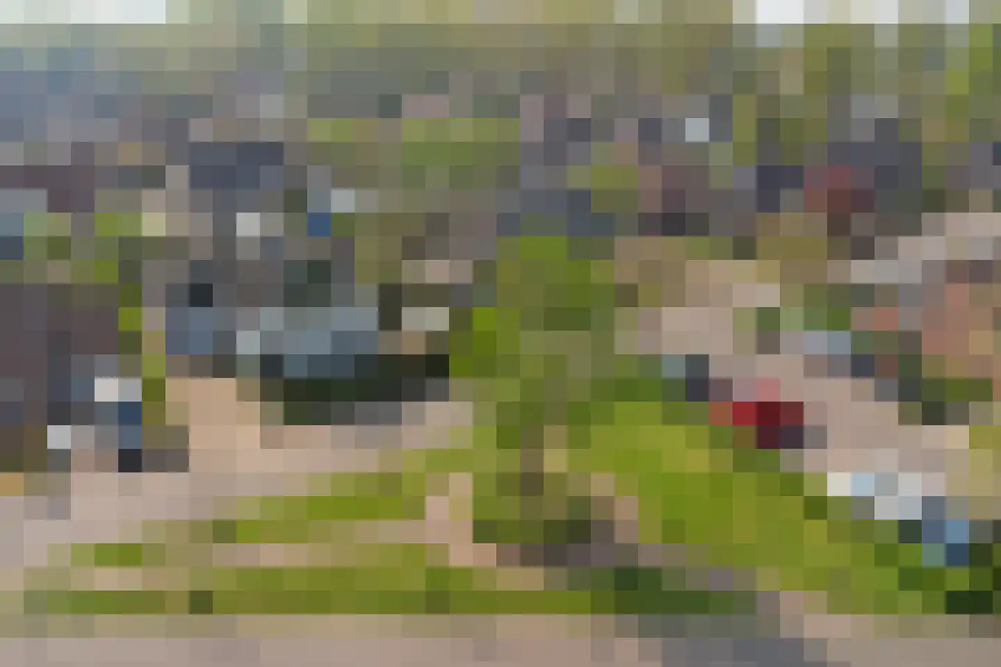 Bereklauw 17 Herkenbosch thumbnail 69