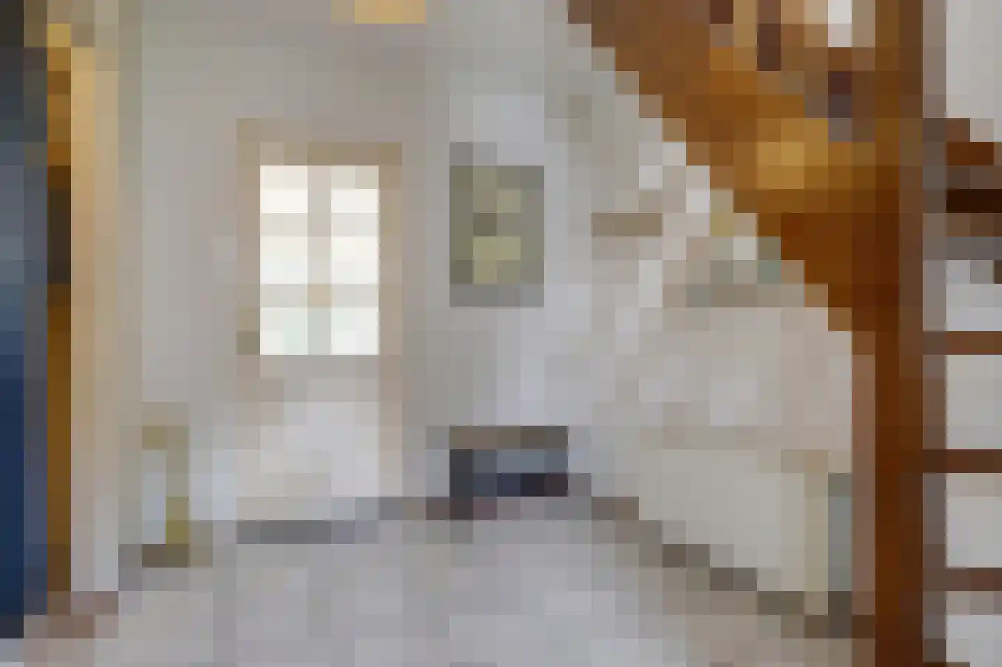 Bereklauw 17 Herkenbosch thumbnail 7