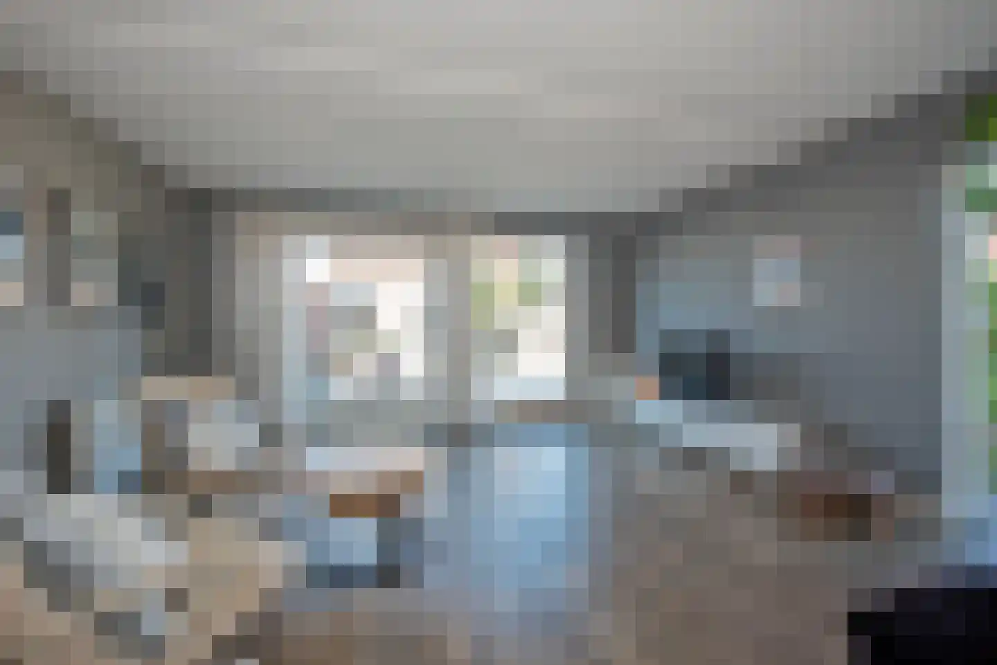 Bereklauw 17 Rijssen thumbnail 11