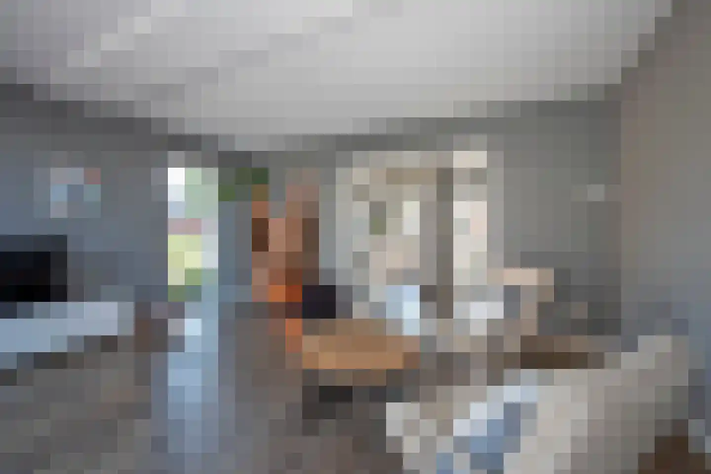 Bereklauw 17 Rijssen thumbnail 13