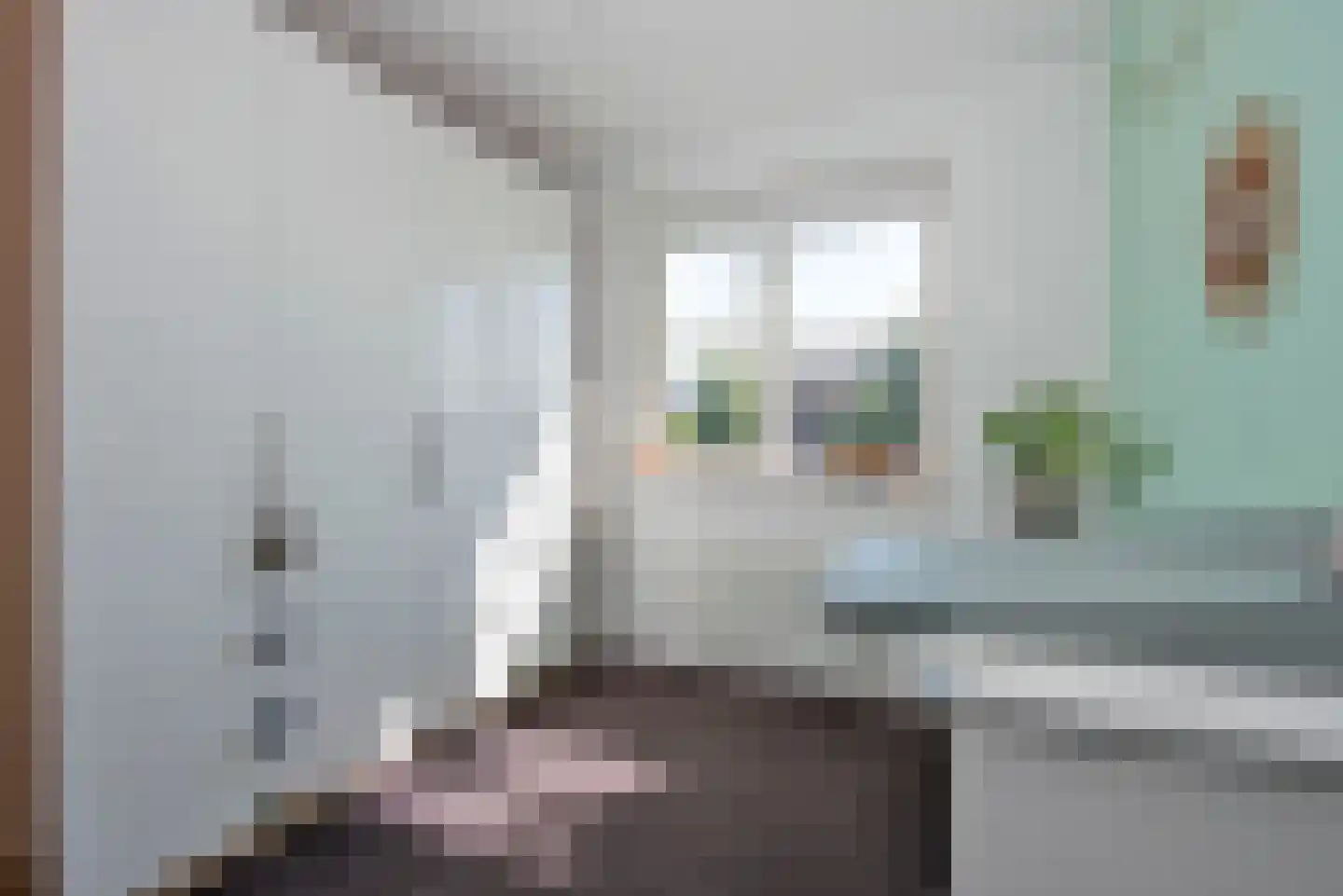 Bereklauw 17 Rijssen thumbnail 17