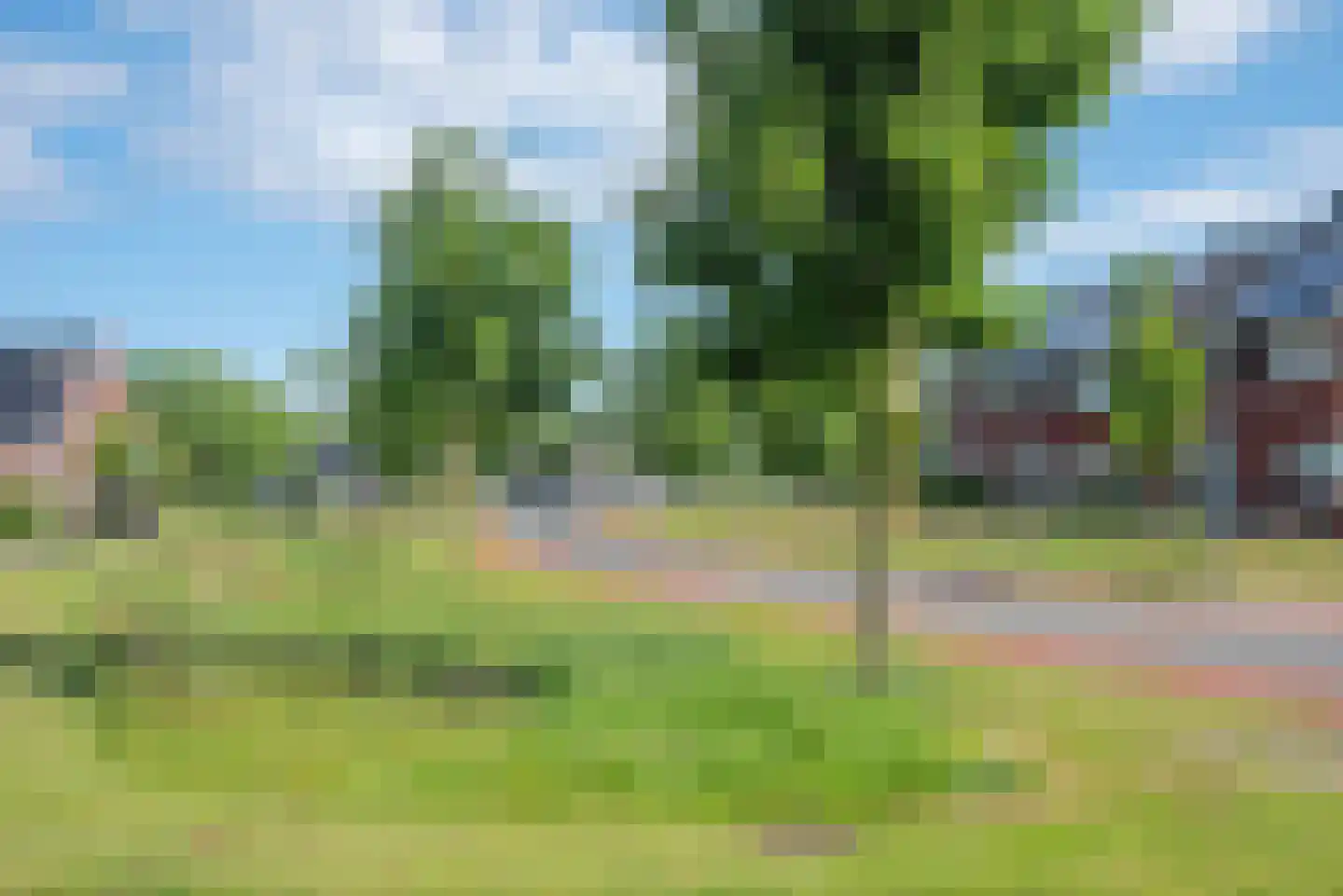 Bereklauw 17 Rijssen thumbnail 28
